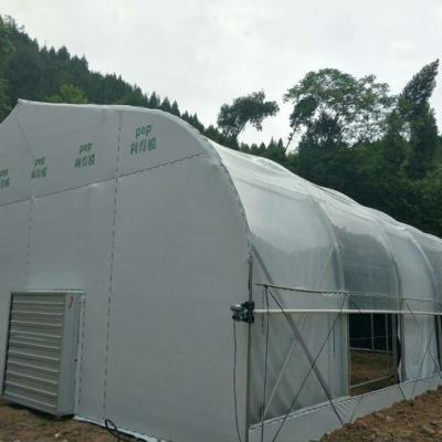 China Customized Heating Equipment Blackout Film Greenhouse for Herb and Mushroom Farming for sale