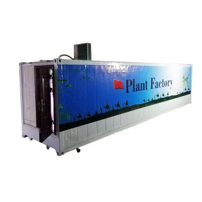 China 40ft Container Greenhouse Farm for Temperature Climate Controlled Vegetable Growth for sale