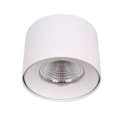 China Surface Mounted 2019 New Design Outdoor Mounted Led Downlight Around 30W for sale