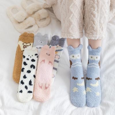 China Coral Velvet Embroidery Cartoon Animals Cat Dog Warm Fluffy Fuzzy Thick Warm Socks Womens Sleeping Socks Winter QUICK DRY for sale