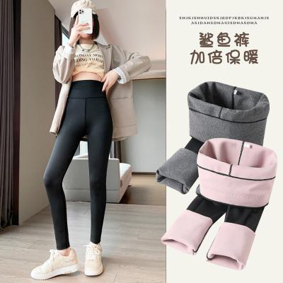 China Winter Sale Women Leather Warm Fleece Yoga Black Shark Fashion Slim Plus Size Warm Comfortable Thick Warm Antibacterial Pants for sale