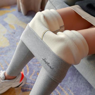 China Antibacterial Cashmere Fleece Deep Warm Outside Wear Gaiters Tights Tights Women's Plus Size Gaiters for sale