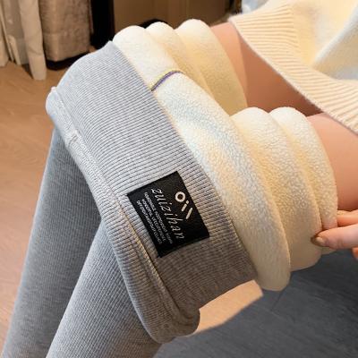 China Winter Sale Women's High Elastic Gaiters Cashmere Fleece Fuzzy Pants Cozy Warm Large Size Women's Antibacterial Warm Thick Tights for sale