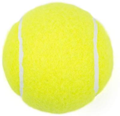 China Tennins Training AIFUN Customs Officer Training Balls for Lessons, Practice Tennis Ball for sale