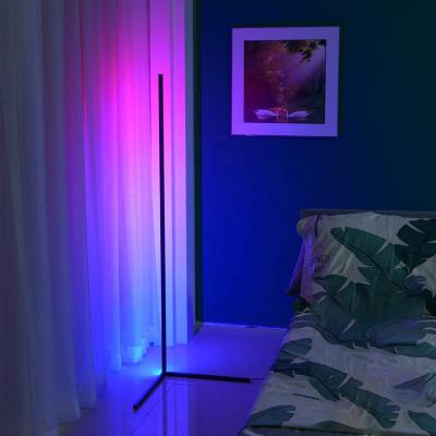 China Modern Minimalist Modern Adjustable Vertical Led Single Ambient Light Nordic Smaller Standing Floor Lamp RGB Corner Light for sale