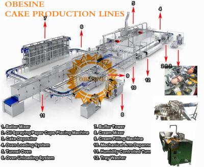 China OBESINE cakes production Lines ,cakes automation line,cake tunnel ovens,cake filler ,cake packing line, cake production for sale