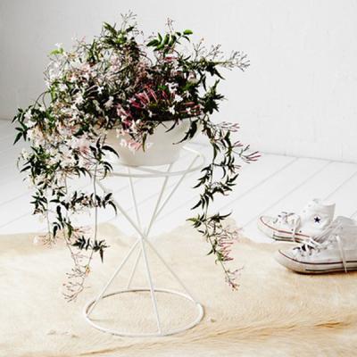 China Eco-friendly Large Indoor Garden Decoration Plant Pot Holder Metal Flower Wire Window Planters for sale