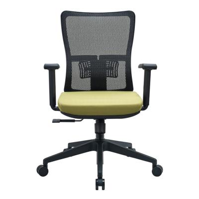 China (Size) Mesh Home Office Chair Swivel Headrest Lumbar Office Chair Adjustable Lifting Ergonomic Chair for sale