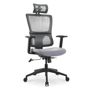 China New Arrival Mesh Office Chair Guangzhou Furniture Ergonomic Health Chair Computer Chair (FOH-X4P-5A) for sale