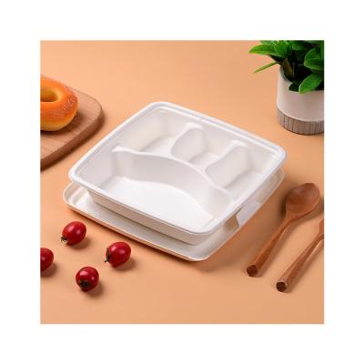 China High Quality Eco-Friendly Disposable Eco-Friendly Biodegradable Disposable Compartment Food Containers With Lids for sale