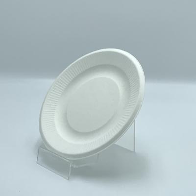 China 1000 PCS Biodegradable Sugar Cane Bagasse Party Dinner Plate Disposable Biodegradable Compostable for sale