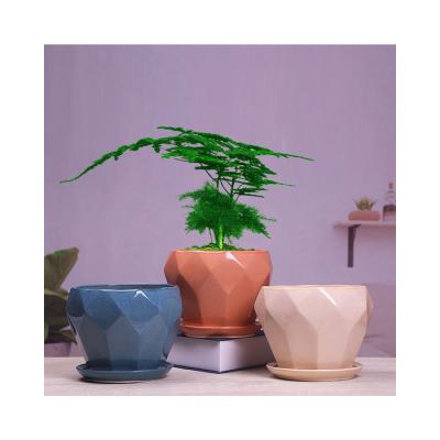 China Fashion Modern Design Indoor Planter Flower Pots Ceramic Plant Pot for sale