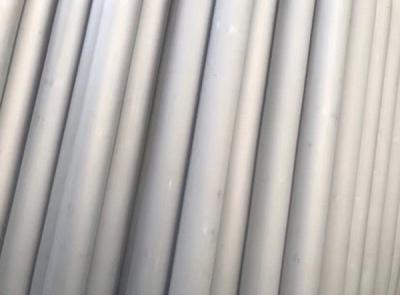 China Small Diameter Seamless Stainless Steel Tubing Bright Annealed Food Grade for sale