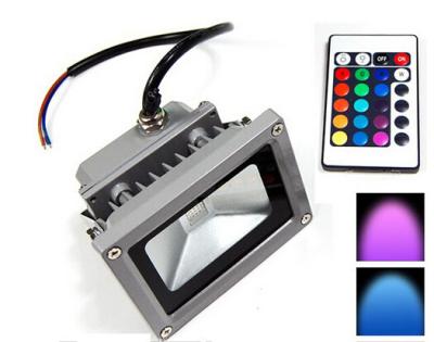 China CE Warm White 10W LED Floodlight Bridgelux With Wireless Dimmer IP65 Sculpture Lighing for sale