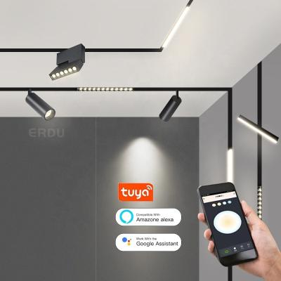 China ERDU Modern Black White Magnetic Spotlight 48v Track Light Rail Led 10w 30W COB for sale