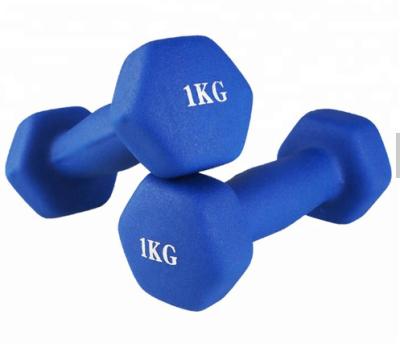 China Durable Gym Home / Commercial Fitness Equipment Hexagon Cast Iron Coated Dumbbell for sale