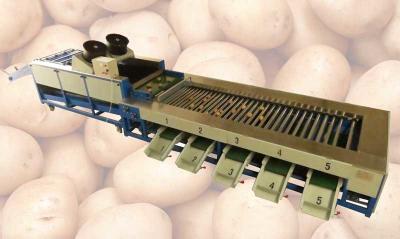 China Integrated Type Automatic Potato Cleaning and Grader Line for sale