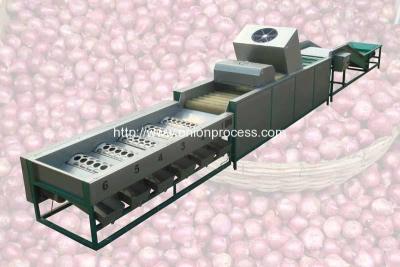 China Automatic Onion Selecting Cleaning and Sorting Machine for sale