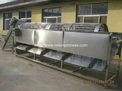 China Automatic Onion Water Washing and Grader Line for sale