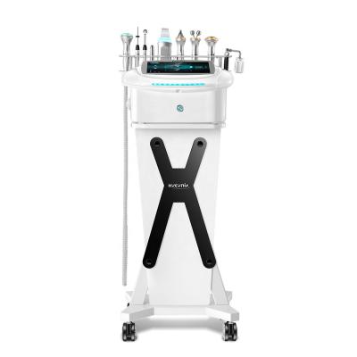 China Multifunctional Skin Revitalizer Salon Machine 9 in 1 Face and Eye Beauty Equipment for sale