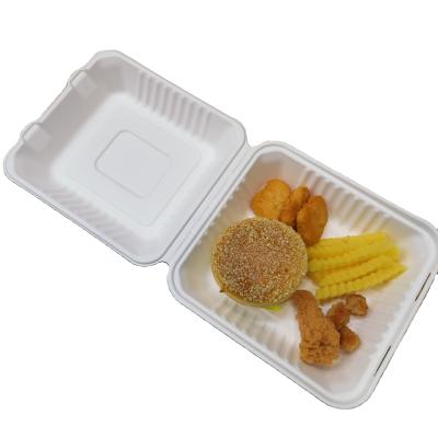 China 9 Inch Eco-Friendly Disposable Biodegradable Food Box Natural Food Box for sale