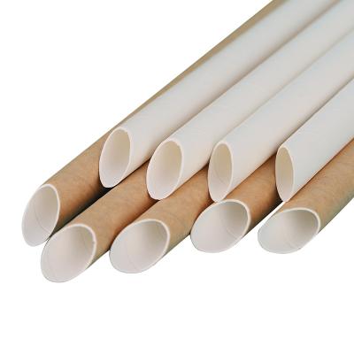 China Healthy Eco-friendly In High Demand Individual Packing Oblique Cut 8mm *197mm 4 Layers Biodegradable Paper Straw for sale