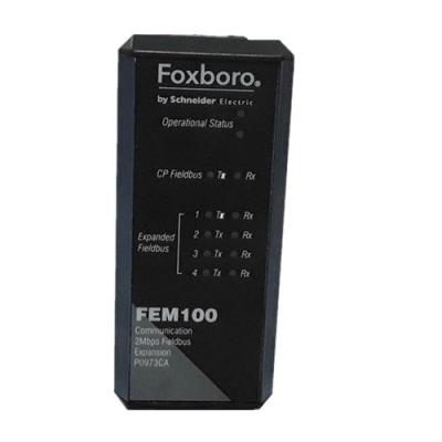 중국 FEM100 Foxboro 부품 DCS 제어 시스템 I/A 시리즈 필드버스 확장 모듈 P0973CA 판매용