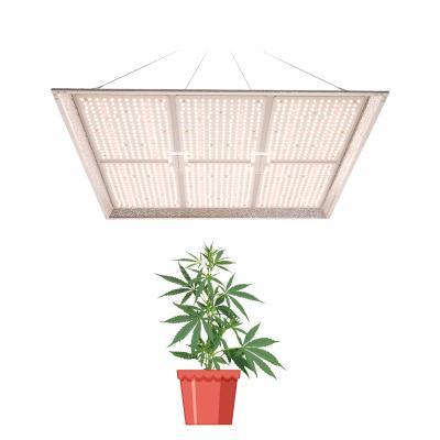 China Seed Starting 6x6 600w Lm301b Indoor LED Grow Light Sulight IR UV Spectrum Full Samsung Sunlike For Vertical Farm Plants for sale