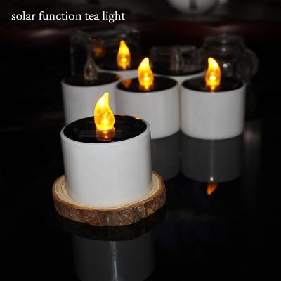 China Wholesale Outdoor Indoor LED Flameless Solar Power Plant Flameless Lights Night Light For Home Garden Decoration for sale