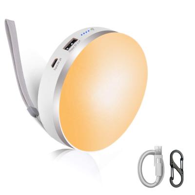 China 2021 New Portable Led Camping USB Emergency 80W LED Rechargeable Camping Lamp Light for sale