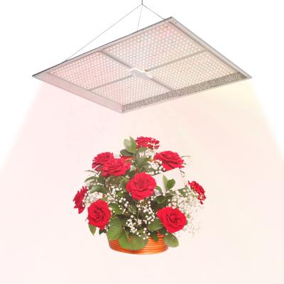 China Seed Starting Waterproof IP65 640W LED Commercial Grow Light Full Spectrum 3000k 6500k 660nm 730nm IR Led Plant Light UV Panel For Greenhouse for sale