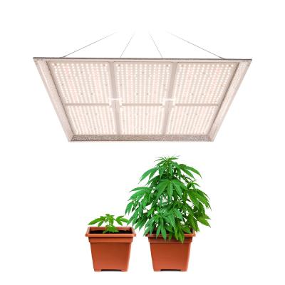 China Seed Starting High PPFD/PPF 640W LED Grow Light Grow Bucket Recycling Hydroponics System Clone Bucket Growing System For Agriculture for sale