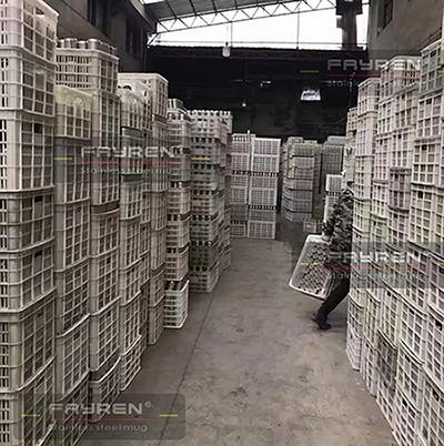 Verified China supplier - Fayren Economic Development Co., Limited