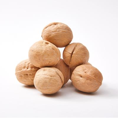 China Wholesale Dry Mix Type Peeled Large Walnut Shell 32mm Shelled Walnut Walnuts Nuts for sale