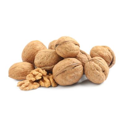 China 185 high quality dry unwashed paper walnuts from the skin in Shell walnuts in the shell walnut inshell for sale