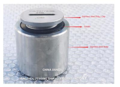 Cina C TYPE Sounding Head With Stainless Steel Body And Butt Welding Connection in vendita