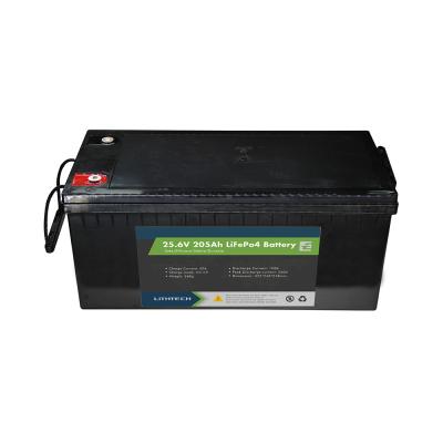 China Lithtech motorhome customized battery pack lifepo4 12V 24v 200AH 300AH lithium battery with BMS for sale