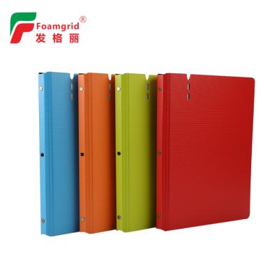 China vigorous & Size 30 Size 30 Eco - Friendly Clear A4 Book Folder PP Display Book To Be Sale for sale