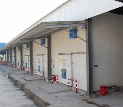 China Cold Storage Fresh Keeping Room For Frozen Beef / Meat / Chicken for sale