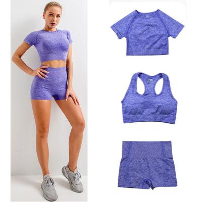 China Racer Breathable Back Jacquard Seamless Bra Short Sleeves Shorts Purple 3 Piece Woman Fitness Yoga Wear Set for sale