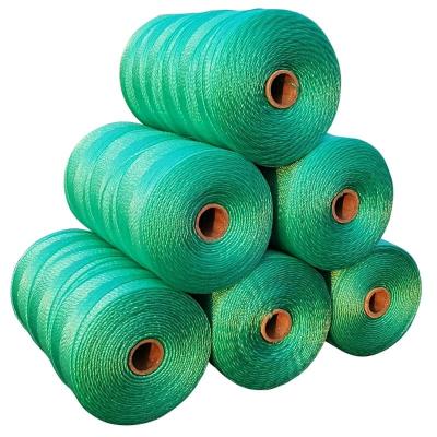 China High tenacity 1mm-3mm high tenacity pe twine fishing net twine for sale for sale