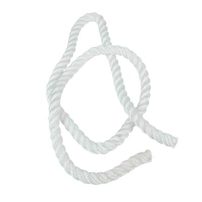 China Durable Customizable Color Quality Assurance Danline 3 Strand Twisted Polypropylene PP Rope for sale