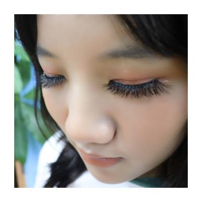 China Long Fluffy Short Bulk Multilayer Wholesale Natural Hair 15mm Eyelashes 3D Lashes Wholesaler New for sale