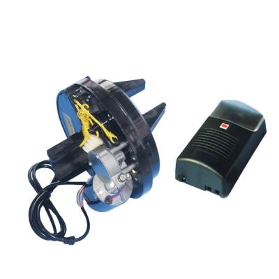 China Success Good Quality 2021 Modern Ultra Quiet Roller Door Motor for sale