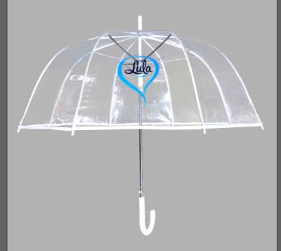 China All In 1 Wholesale Dome Shape Clear Transparent Umbrella Apolo Dome Umbrella For Sale for sale