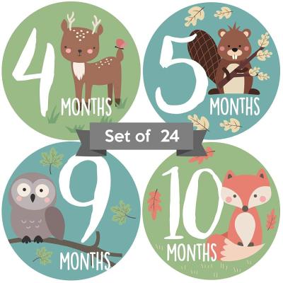 China Custom Baby Memory Vinyl First Year Milestone Journal Monthly Stickers for sale