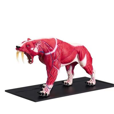 China Fibra de vidrio animal modificada para requisitos particulares Saber Tooth Tiger Statue de la estatua de la resina en venta