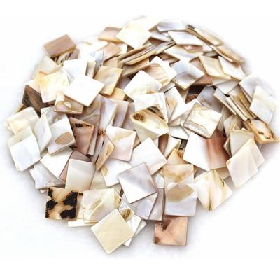 China Europe Shell Pieces loose natural pearlescent mosaic tiles for home decoration and handmade crafts for sale