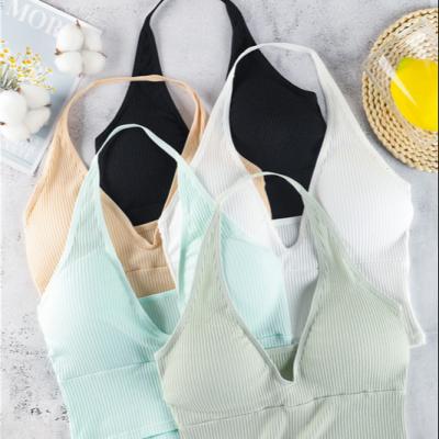 China Seamless Women's Tube Top Bra Cotton Beauty Bra One Shoulder Viable Single Strap Vest for sale