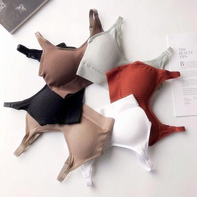 China Seamless Breathable Underwear Bear Vest Girl's Sports Bra Suspender Women's U-back Leisure Women's Sports Bra Fitness Rest Vest Bra for sale